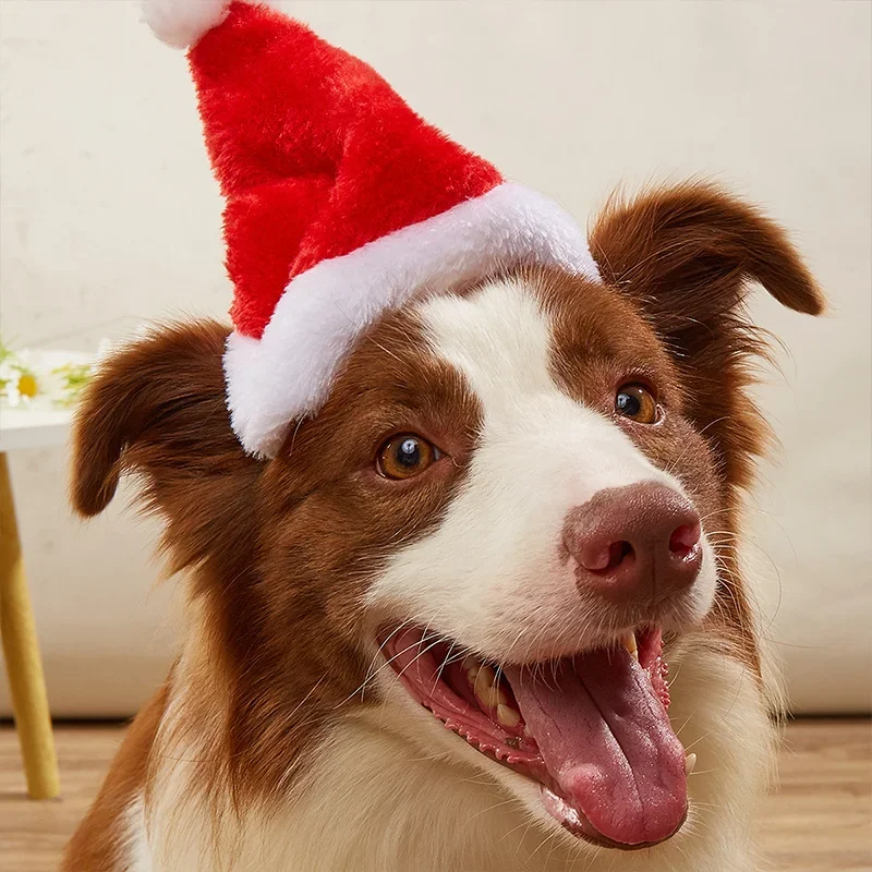 Santa Hat Plush - ぬいぐるみペット用サンタ帽子 クリスマス犬猫コスチューム ヘッドウェア 調節可能 ソフトでキュートなホリデーパーティー写真撮影用小道具 子犬子猫ギフト
