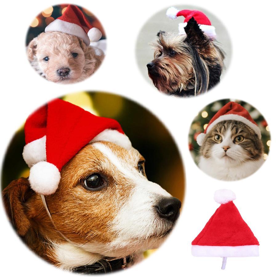 クリスマスペットサンタ帽子 赤いぬいぐるみキャップ 犬 猫  - Santa Hat Plush のレビューと価格